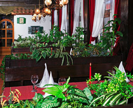 Tavern Bracera - Interior